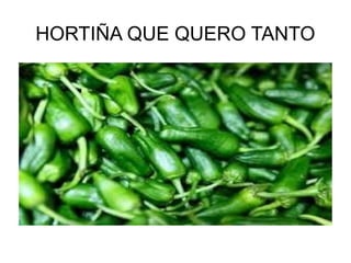 HORTIÑA QUE QUERO TANTO