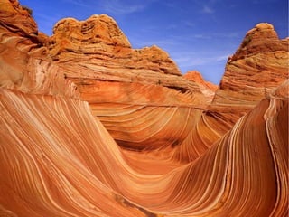 MIÑA TERRA MIÑA TERRA
 