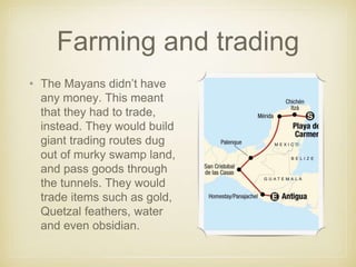 Farming and trading
• The Mayans didn’t have
any money. This meant
that they had to trade,
instead. They would build
giant trading routes dug
out of murky swamp land,
and pass goods through
the tunnels. They would
trade items such as gold,
Quetzal feathers, water
and even obsidian.
 
