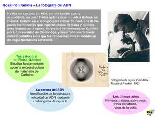 Rosalind Franklin – La fotógrafa del ADN
Nacida en Londres en 1920, en una familia culta y
acomodada, ya con 15 años estaba determinada a trabajar en
Ciencia. Estudió en el Colegio para chicas St. Paul, una de las
pocas instituciones que impartía clases de física y química
para féminas en la época. Se graduó con honores en Química
por la Universidad de Cambridge, y desarrolló una brillante
carrera científica en la que las reticencias ante su condición
de mujer fueron una constante.
Tesis doctoral
en Físico-Química
Estudios fundamentales
sobre la microestructura
de materiales de
Carbono.
La carrera del ADN
Identificación de la estructura
helicoidal del ADN mediante
cristalografía de rayos X
Los últimos años
Primeros trabajos sobre virus:
virus del tabaco,
virus de la polio.
Fotografía de rayos X del ADN,
Rosalind Franklin. 1952
 