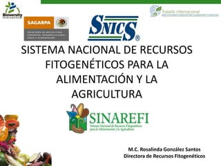 SISTEMA NACIONAL DE RECURSOS
     FITOGENÉTICOS PARA LA
       ALIMENTACIÓN Y LA
          AGRICULTURA



                  M.C. Rosalinda González Santos
                Directora de Recursos Fitogenéticos
 