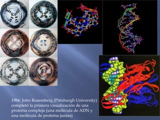        1984: John Rosemberg (Pittsburgh University)       completó la primera visualización de una        proteína compleja (una molécula de ADN y        una molécula de proteína juntas)
