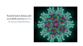 Rosalind tamén destaca polo
seu traballo pioneiro co virus
do mosaico e o poliovirus.
 