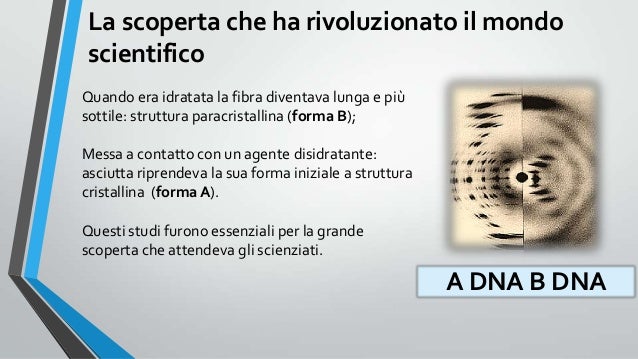 Rosalind Franklin E La Scoperta Del Dna Rosalind franklin: l’eroina mancata della scoperta del DNA