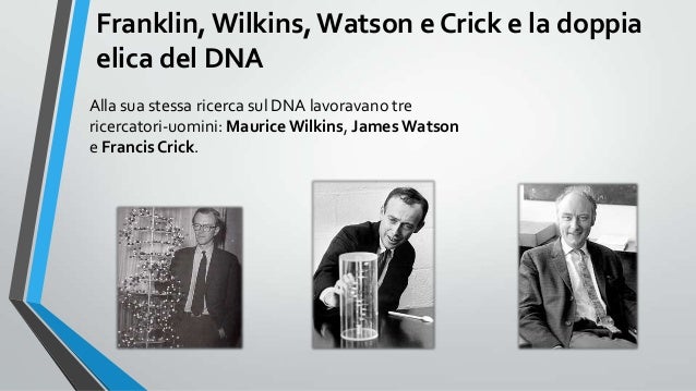 Rosalind Franklin E La Scoperta Del Dna Rosalind franklin: l’eroina mancata della scoperta del DNA