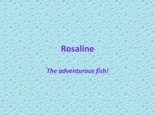 Rosaline The adventurous fish! 