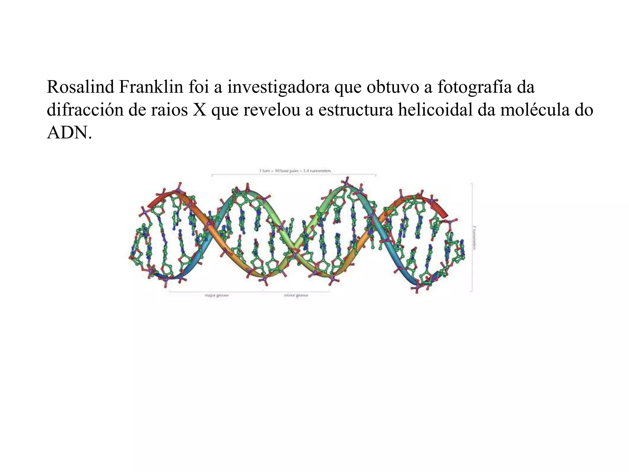 Rosalind Franklin foi a investigadora que obtuvo a fotografía da
difracción de raios X que revelou a estructura helicoidal da molécula do
ADN.
 