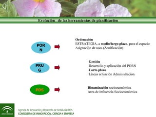 Rosa Mellado | PPT
