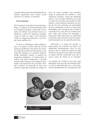 venientes del proceso de deshidratación se         fruta en trozos grandes, que permitan
pueden aprovechar para extraer aceite              luego la separación de semillas y otras
esencial y la “pelusa” se desecha.                 impurezas restantes. Luego del quebrado
                                                   pasan a una zaranda vibratoria en la que
   Procesamiento                                   se separa la cascarilla más grande. El resto
                                                   ingresa a otros sistemas similares con ven-
Por lo general se recolecta manualmente y          teo de aire y/o a túneles con velocidades
llega a la planta de procesamiento junto           de aire controladas, es decir se separa por
con impurezas propias y del suelo circun-          densidades, para recuperar por un lado la
dante. Se efectúa una revisión visual y se         cascarilla fina y por otro las semillas lim-
eliminan a mano las impurezas grandes.             pias. Todo este sistema de quebrado y
Luego el fruto se carga a los secaderos            separación debe efectuarse en ambientes
junto con impurezas pequeñas, casi siem-           con fuerte aspiración para evitar el contac-
pre hojas, palillos, etc.                          to del personal con las espinillas del fruto.

    El fruto se deshidrata entero debido a            Volviendo a la etapa de secado, la
que, si se parte o muele antes de secarlo          pulpa posee una cutícula muy dura y un
aparecen problemas mecánicos de mane-              importante recubrimiento céreo, lo que
jo. Luego de secados los frutos pasan a una        provoca que la salida de vapor de agua
etapa de limpieza, en canastos especial-           durante el secado sea muy lenta. El secado
mente diseñados, donde se separan las              se puede efectuar colocando una sola o
impurezas pequeñas. A continuación se              varias capas de frutos en el secadero.
realiza una nueva inspección y revisión
manual antes de pasar a las etapas de que-         Los tiempos de secado en una sola capa
brado y de separación de cascarilla, semi-         dependen muy poco de la humedad relati-
llas y pelusas. El quebrado se hace con            va y de la velocidad del aire, y son fuerte-
molinos especiales tratando de romper la           mente dependientes de la temperatura del




                     Figura 1: Detalles del fruto de
                     la rosa mosqueta




   6   Presencia
       Nº 51 •2007
 