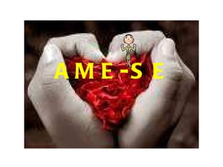AME-SE 