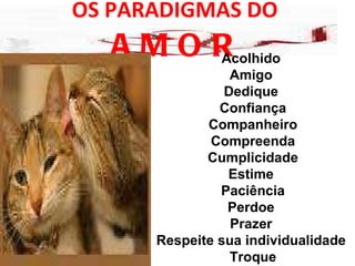 OS PARADIGMAS DO  AMOR Acolhido  Amigo  Dedique  Confiança Companheiro Compreenda Cumplicidade Estime  Paciência Perdoe  Prazer  Respeite sua individualidade  Troque 