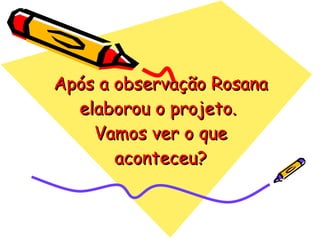 Após a observação Rosana elaborou o projeto.  Vamos ver o que aconteceu? 