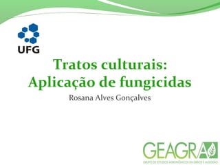 Tratos culturais:
Aplicação de fungicidas
Rosana Alves Gonçalves
 