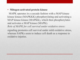 • Mitogen-activated protein kinase
MAPK operates in a cascade fashion with a MAP kinase
kinase kinase (MAPKKK) phosphorylating and activating a
MAP kinase kinase (MAPKK), which then phosphorylates
and activates a MAP kinase (MAPK).
Role of MAPK for cell survival under oxidative stress:
signaling promotes cell survival under mild oxidative stress,
whereas SAPKs seem to induce cell death as a response to
oxidative injuries.
 