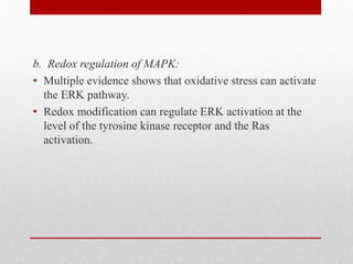 b. Redox regulation of MAPK:
• Multiple evidence shows that oxidative stress can activate
the ERK pathway.
• Redox modification can regulate ERK activation at the
level of the tyrosine kinase receptor and the Ras
activation.
 