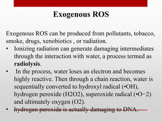 Exogenous ROS
Exogenous ROS can be produced from pollutants, tobacco,
smoke, drugs, xenobiotics , or radiation.
• Ionizing radiation can generate damaging intermediates
through the interaction with water, a process termed as
radiolysis.
• In the process, water loses an electron and becomes
highly reactive. Then through a chain reaction, water is
sequentially converted to hydroxyl radical (•OH),
hydrogen peroxide (H2O2), superoxide radical (•O−2)
and ultimately oxygen (O2).
• hydrogen peroxide is actually damaging to DNA.
 