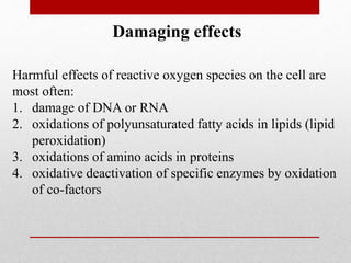Damaging effects
Harmful effects of reactive oxygen species on the cell are
most often:
1. damage of DNA or RNA
2. oxidations of polyunsaturated fatty acids in lipids (lipid
peroxidation)
3. oxidations of amino acids in proteins
4. oxidative deactivation of specific enzymes by oxidation
of co-factors
 