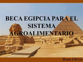 BECA EGIPCIA PARA EL
SISTEMA
AGROALIMENTARIO
Rosa Olivis
 