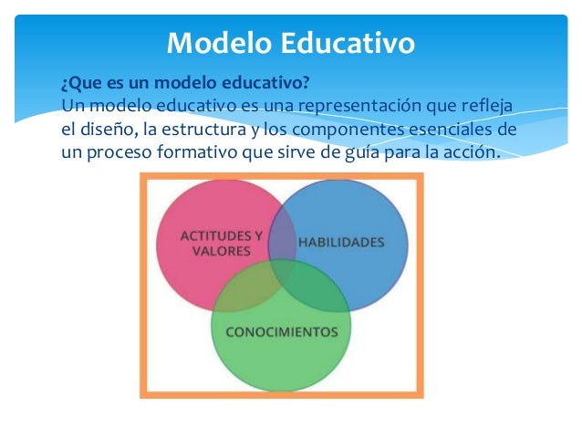 Rosa pop sacul presentacion modelos educativos