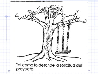 DPyAS 
MINISTERIO DE SALUD Y 
DEPORTES 55 
 