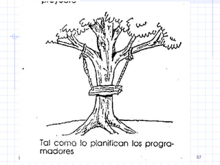DPyAS 
MINISTERIO DE SALUD Y 
DEPORTES 57 
 