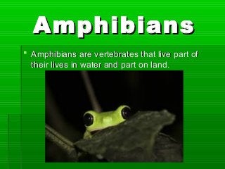 AmphibiansAmphibians
 Amphibians are vertebrates that live part ofAmphibians are vertebrates that live part of
their lives in water and part on land.their lives in water and part on land.
 