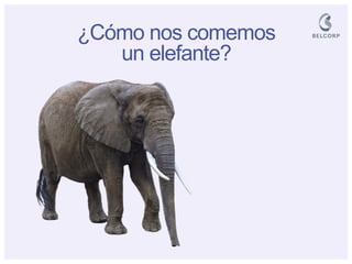 ¿Cómo nos comemos un elefante?  