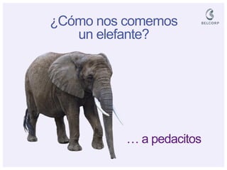 … a pedacitos 
¿Cómo nos comemos un elefante?  