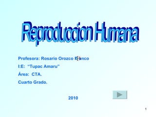Reproduccion Humana Profesora: Rosario Orozco Franco I:E:  “Tupac Amaru” Área:  CTA. Cuarto Grado. 2010 