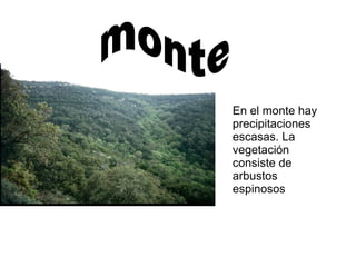 En el monte hay precipitaciones escasas. La vegetación consiste de arbustos espinosos monte