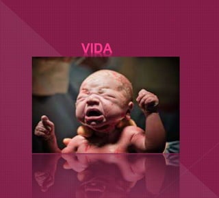 VIDA
 