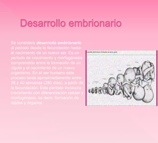 Se considera desarrollo embrionario
al periodo desde la fecundación hasta
el nacimiento de un nuevo ser. Es un
período de crecimiento y morfogénesis
comprendido entre la formación de un
cigoto y el nacimiento de un nuevo
organismo. En el ser humano este
proceso tarda aproximadamente entre
38 y 40 semanas (280 días), a partir de
la fecundación. Este período involucra
crecimiento con diferenciación celular y
morfogénesis, es decir, formación de
tejidos y órganos.
 