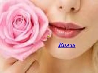 Rosas 
