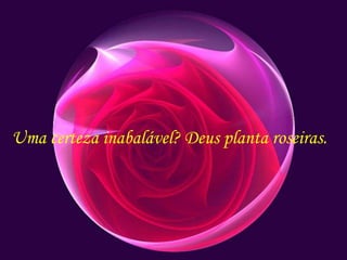 Uma certeza inabalável? Deus planta roseiras.
 