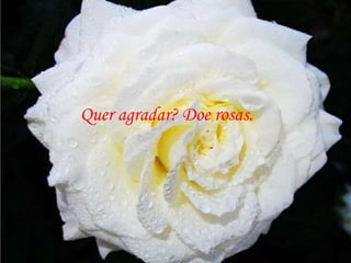 Quer agradar? Doe rosas.
 