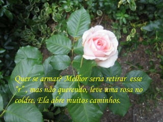 Quer se armar? Melhor seria retirar esse
“r” , mas não querendo, leve uma rosa no
coldre. Ela abre muitos caminhos.
 