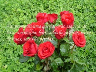 Vai promover uma guerra? Não esqueça de
levar a munição: barricadas de roseiras, barris
de rosas, sacos de pétalas.
 