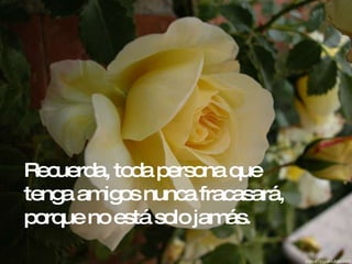 Recuerda, toda persona que tenga amigos nunca fracasará, porque no está solo jamás. 