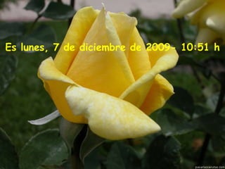 Es  domingo, 7 de junio de 2009 -  14:51  h 