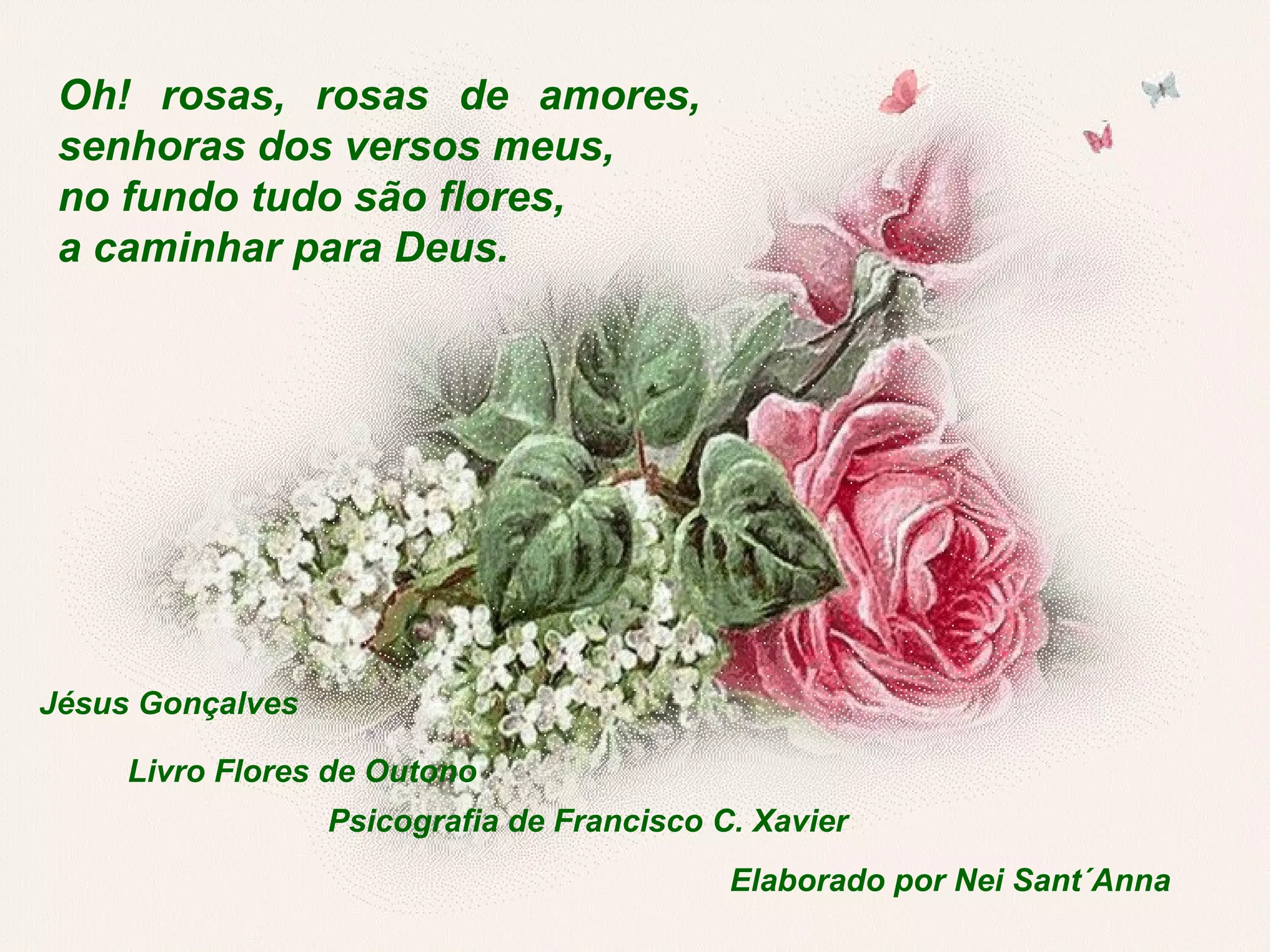 Oh! rosas, rosas de amores,
senhoras dos versos meus,
no fundo tudo são flores,
a caminhar para Deus.
Jésus Gonçalves
Livro Flores de Outono
Psicografia de Francisco C. Xavier
Elaborado por Nei Sant´Anna