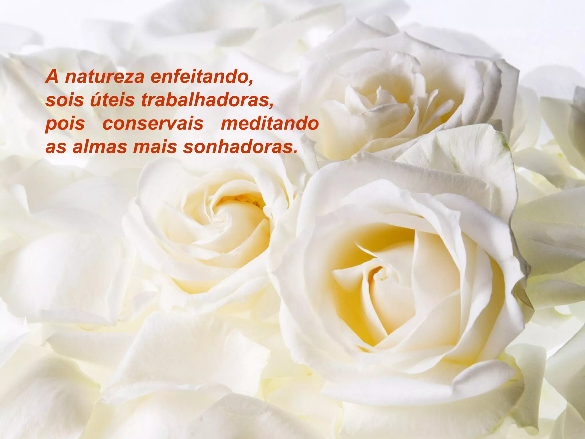 A natureza enfeitando,
sois úteis trabalhadoras,
pois conservais meditando
as almas mais sonhadoras.