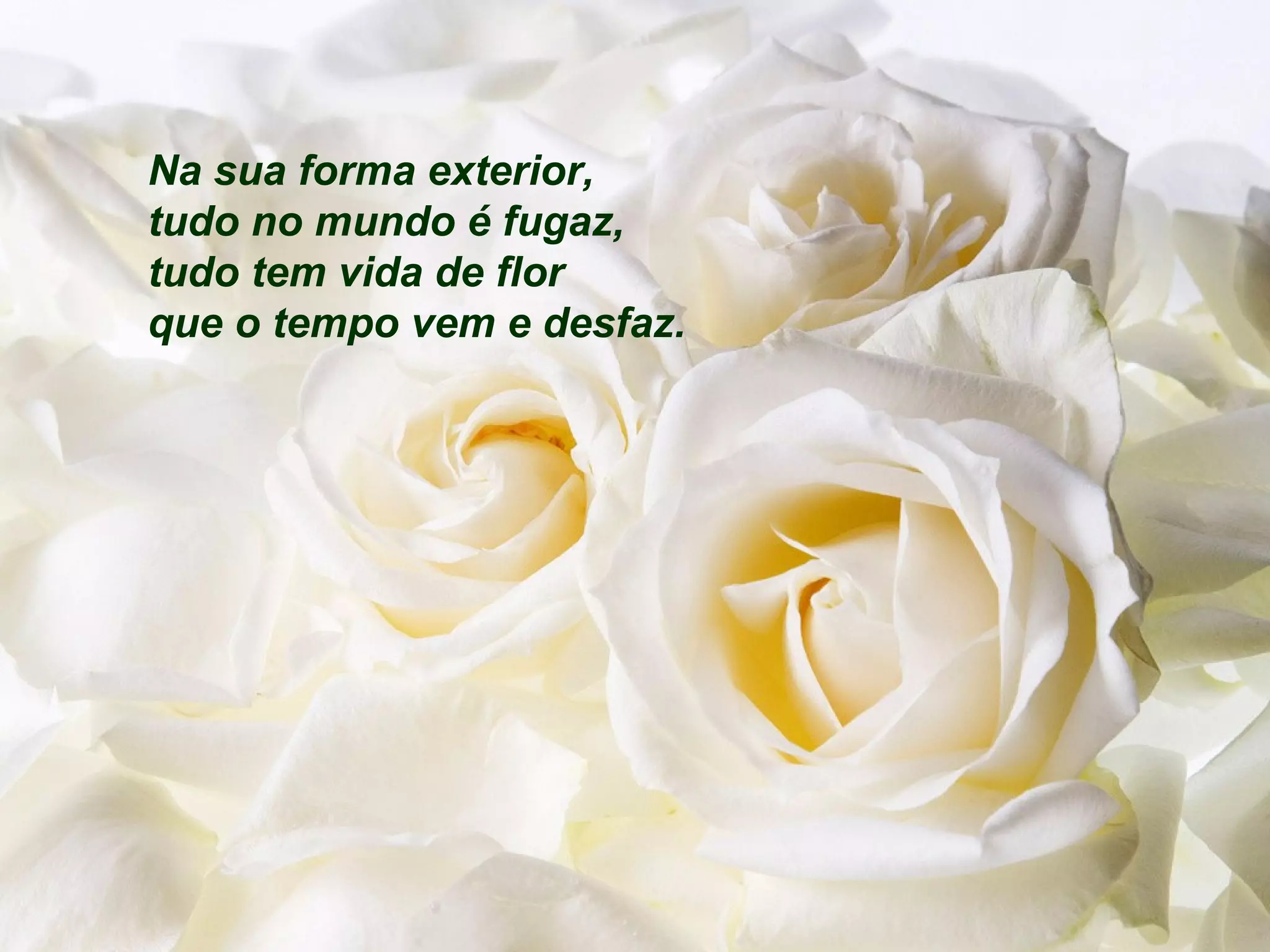 Na sua forma exterior,
tudo no mundo é fugaz,
tudo tem vida de flor
que o tempo vem e desfaz.