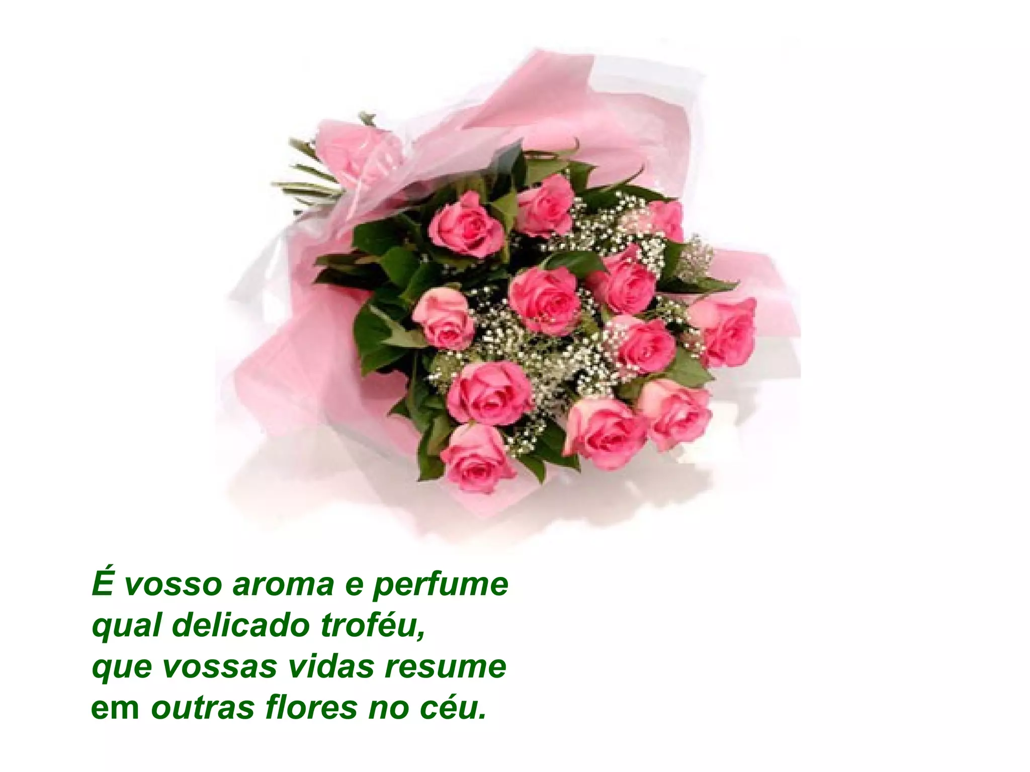 É vosso aroma e perfume
qual delicado troféu,
que vossas vidas resume
em outras flores no céu.