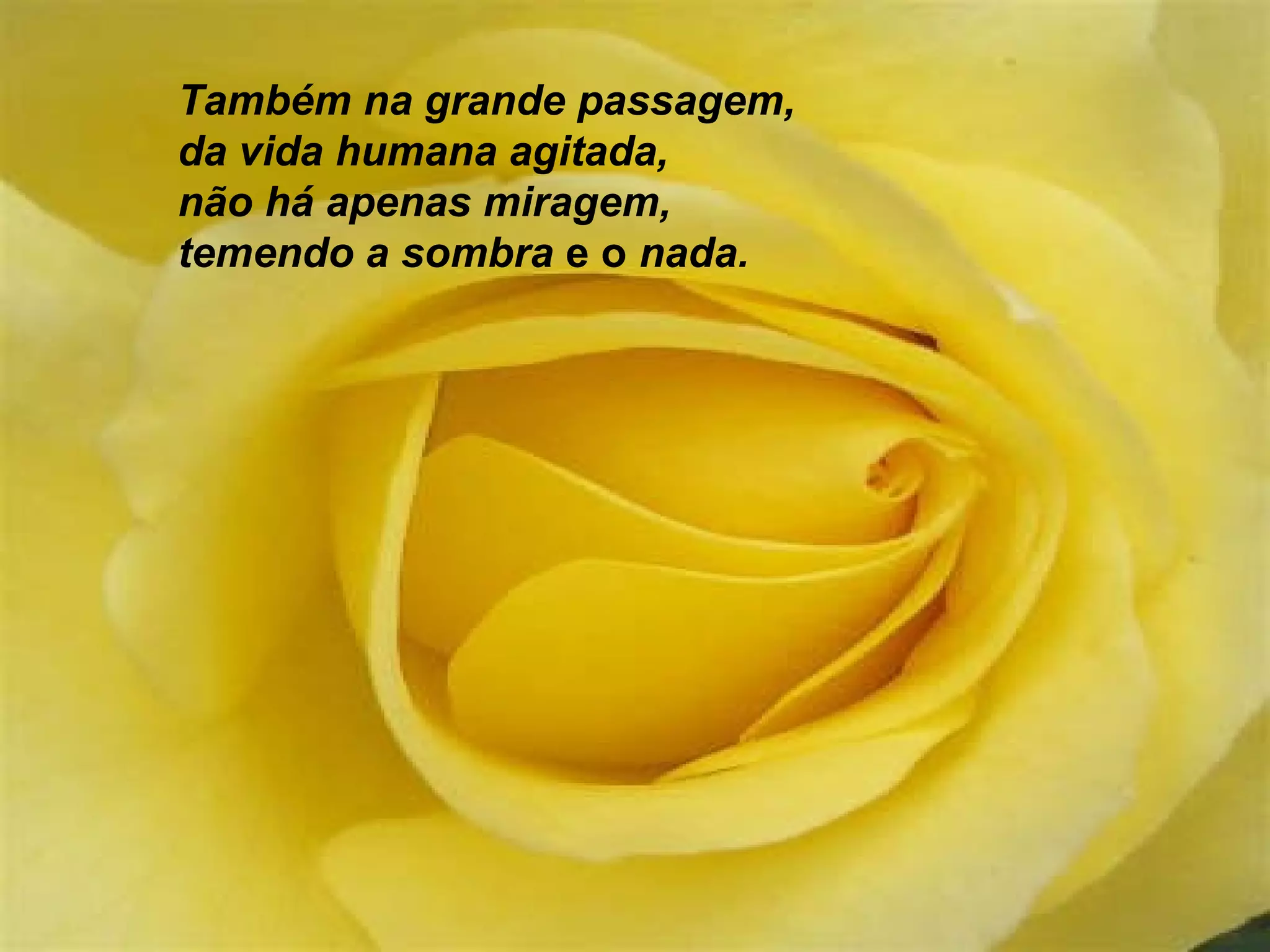 Também na grande passagem,
da vida humana agitada,
não há apenas miragem,
temendo a sombra e o nada.