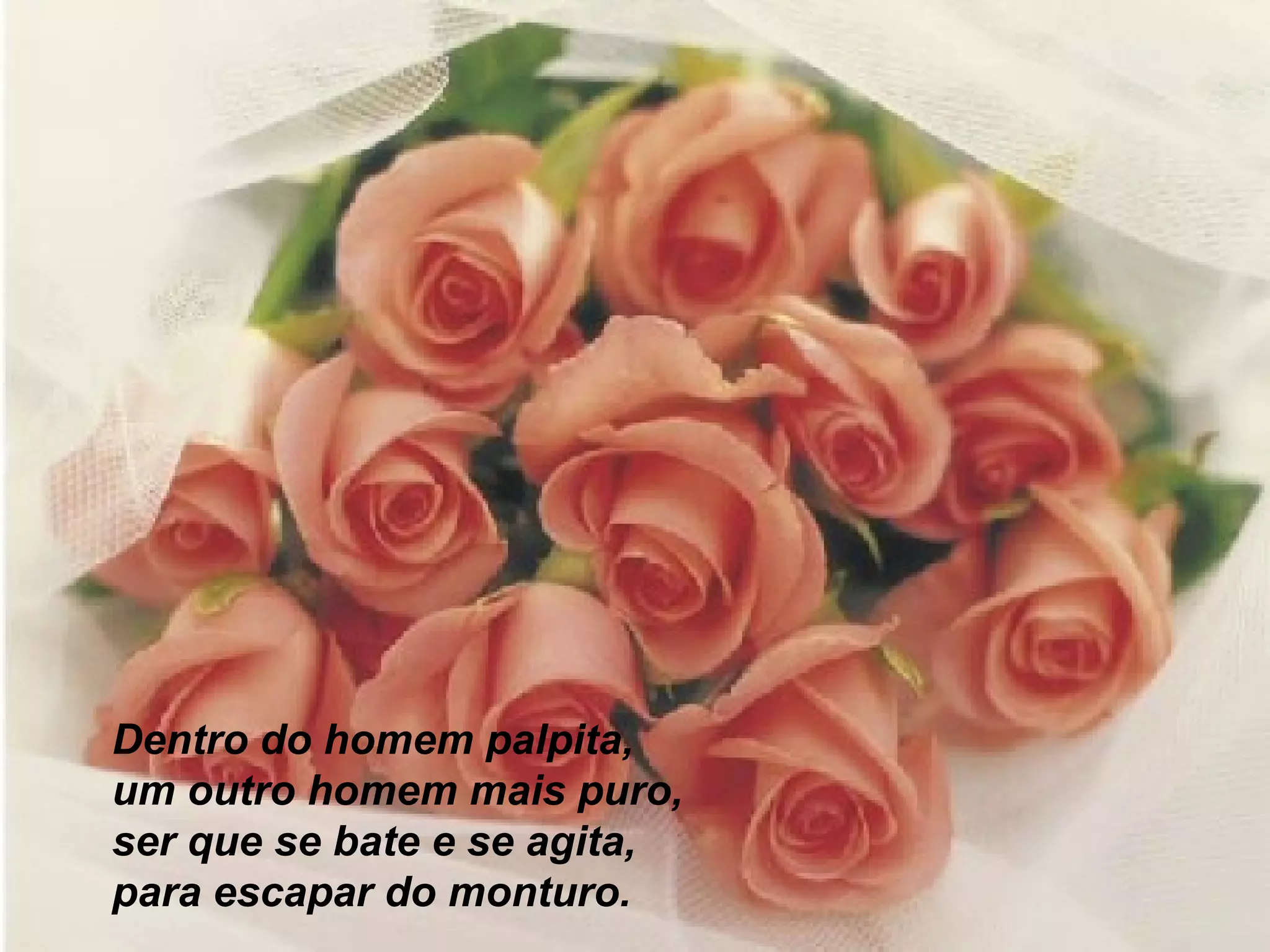 Dentro do homem palpita,
um outro homem mais puro,
ser que se bate e se agita,
para escapar do monturo.