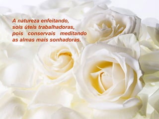 A natureza enfeitando,
sois úteis trabalhadoras,
pois conservais meditando
as almas mais sonhadoras.

 