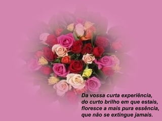 Da vossa curta experiência,
do curto brilho em que estais,
floresce a mais pura essência,
que não se extingue jamais.

 