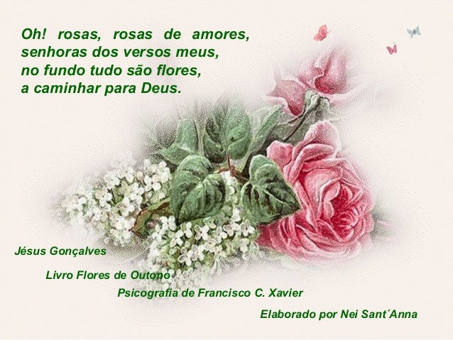 Imagem relacionada