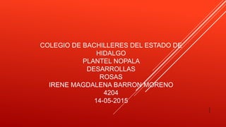 COLEGIO DE BACHILLERES DEL ESTADO DE
HIDALGO
PLANTEL NOPALA
DESARROLLAS
ROSAS
IRENE MAGDALENA BARRON MORENO
4204
14-05-2015
1
 