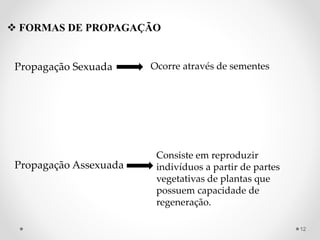  FORMAS DE PROPAGAÇÃO
Propagação Sexuada
Propagação Assexuada
Consiste em reproduzir
indivíduos a partir de partes
vegetativas de plantas que
possuem capacidade de
regeneração.
Ocorre através de sementes
12
 